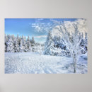 Search for christmas scene posters Nature