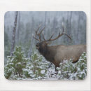 Search for bugle mouse mats Snow