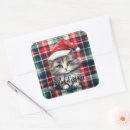 Search for name cat stickers Cute