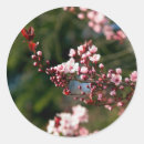 Search for cherry blossom tree stickers Modern