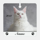 Search for long haired cat christmas tree decorations Kitten