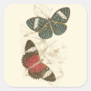 Search for colourful insect stickers Butterflies