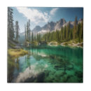 Search for quiet tiles Nature