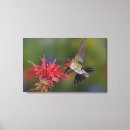 Search for throat canvas prints Adam jones