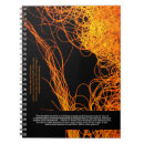 Search for bacteria notebooks Microscope