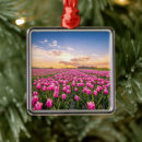 Search for farming christmas tree decorations Landscape