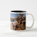 Search for moab utah mugs Southwest