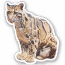 Search for spotted cats stickers Wildlife