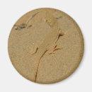 Search for mojave magnets Nature
