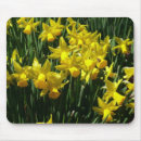 Search for cheery mouse mats Flower