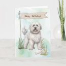 Search for dandy cards Dandie dinmont terrier
