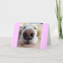 Search for puppy nose cards Cute