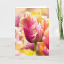 Search for spring bulb cards Tulip