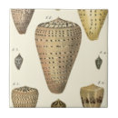 Search for sepia tiles Sea life