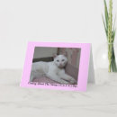 Search for strayed cards Cats
