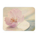 Search for cherry magnets Floral