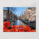 Search for spring tulips postcards Netherlands