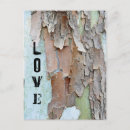 Search for camping love postcards Camper