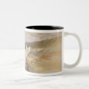 Search for dead sea mugs Landscape