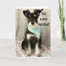 Search for schnauzer photography Birthday