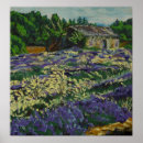 Search for lavander posters Lavender