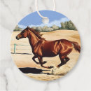 Search for galloping mare Western