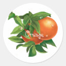 Search for water drop stickers Nature