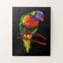 Search for solid color puzzles Colorful