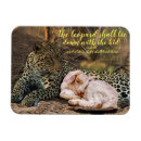 Search for shall magnets Scripture