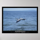Search for heron gifts Avian