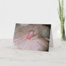 Search for ballet dancer christmas cards Pink