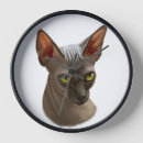 Search for hairless art Sphynx
