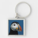 Search for puffins square key rings Machias seal island
