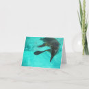 Search for water note cards Blue