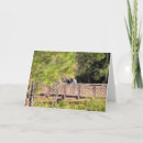 Search for best male friend cards Friends