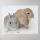Search for lop posters Togetherness