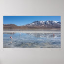 Search for bolivia posters Uyuni