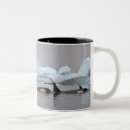 Search for orca killer whale mugs Wildlife