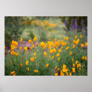 Search for fragrant posters Beauty