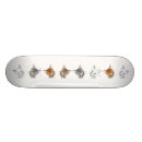 Search for cat illustrations skateboards Animal