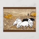 Search for pasture postcards Sheep