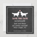 Search for golden retriever weddings Dog