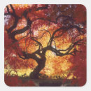 Search for acer stickers Tree