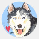Search for huskies stickers Chuksha