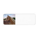Search for palomino return address labels Equestrian