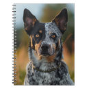 Search for beautiful notebooks Dog