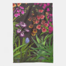 Search for oncidium Tolumnia