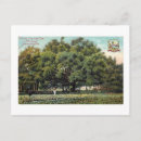 Search for roadside postcards History