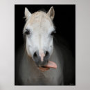 Search for welsh pony art Headshot