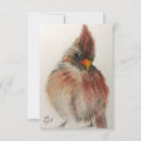 Search for cardinal vertical note cards Red
